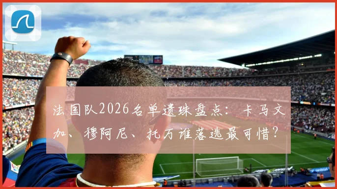 法国队2026名单遗珠盘点:卡马文加、穆阿尼、托万谁落选最可惜?深度解析三人实力与未来前景